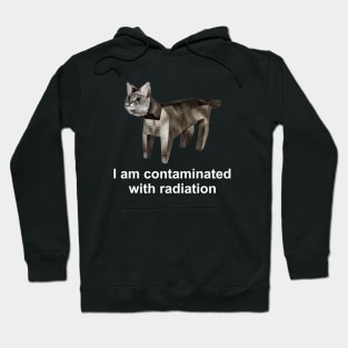 I Am Contaminated With Radiation Funny Cat Meme Shirt / Ironic Shirt / Weirdcore Clothing Hoodie